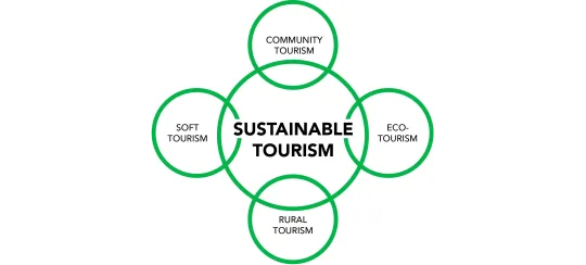 SUNTEX INTERNATIONAL SAFARIS LIMITED