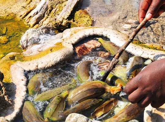 SUNTEX INTERNATIONAL SAFARIS LIMITED