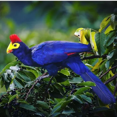 SUNTEX INTERNATIONAL SAFARIS LIMITED